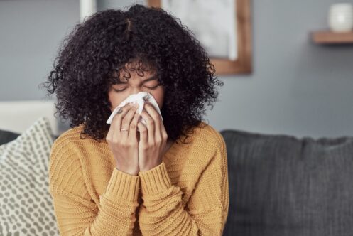 Indoor Air Quality in American Fork, UT