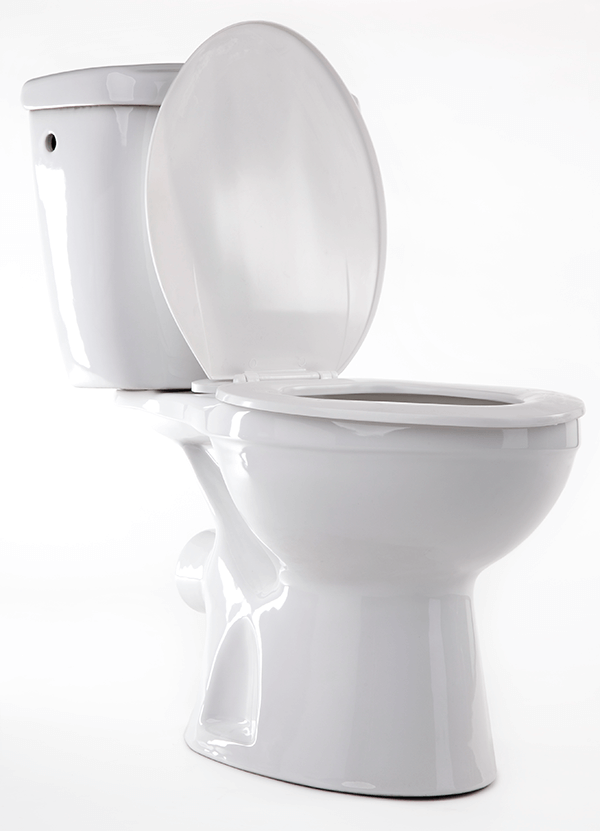 Toilet Repair and Replacement Services in Pleasant Grove, UT